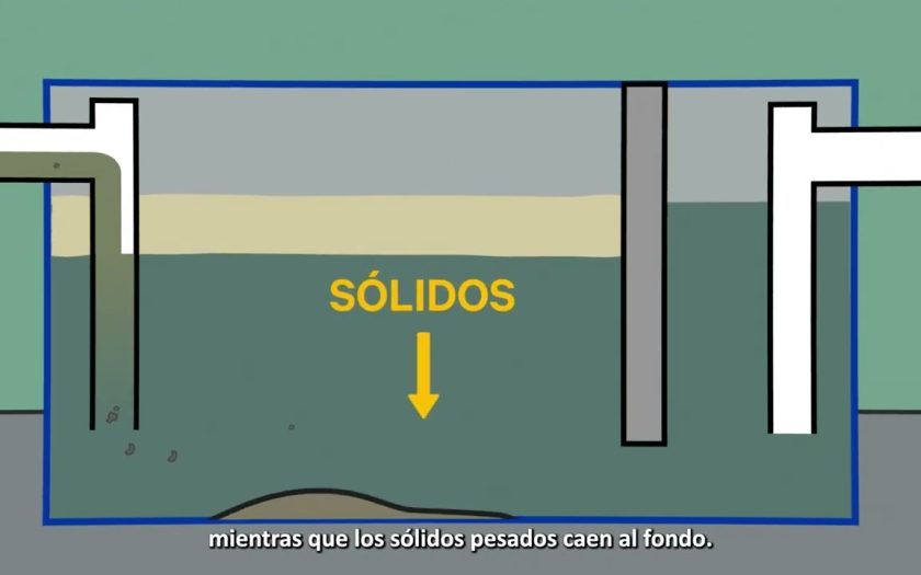 Cada cuánto conviene limpiar los sifones domésticos
