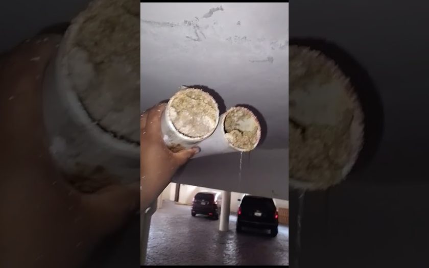 Cómo evitar atascos en cocinas con uso frecuente