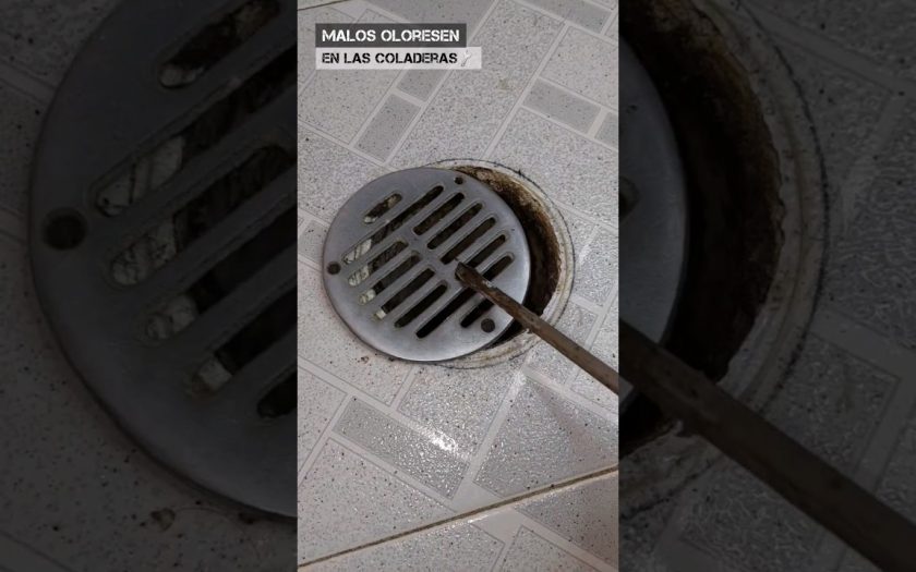 Cómo reducir residuos antes de que entren al desagüe