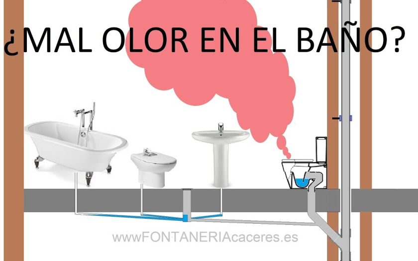 Por qué los desagües huelen sin estar completamente atascados